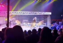 В Ростове-на-Дону