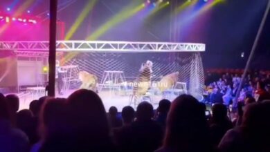 В Ростове-на-Дону