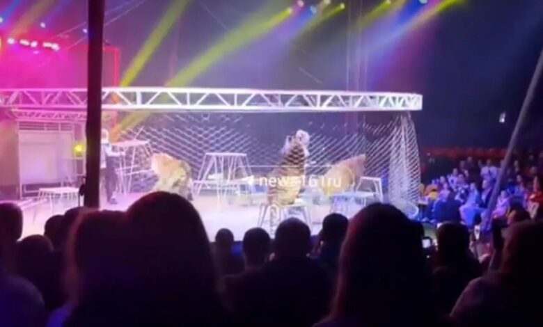 В Ростове-на-Дону