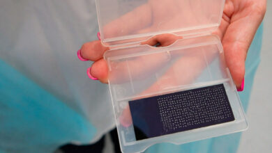 Белорусские ученые создали биочип