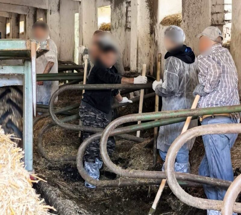 как в Гродненском РОВД 