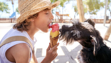 В Гродно ребенок заразился эхинококкозом