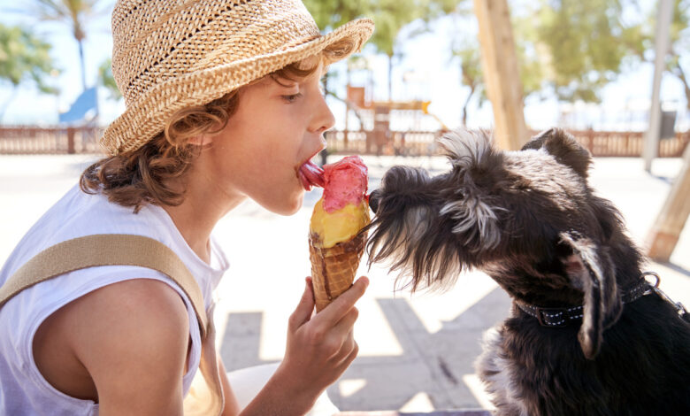 В Гродно ребенок заразился эхинококкозом