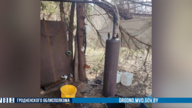 под Новогрудком закрыли подпольное