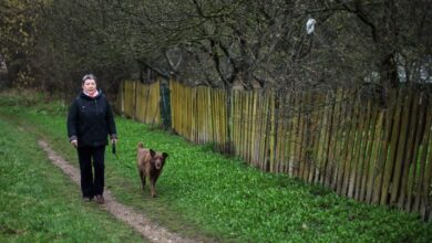 история белоруски