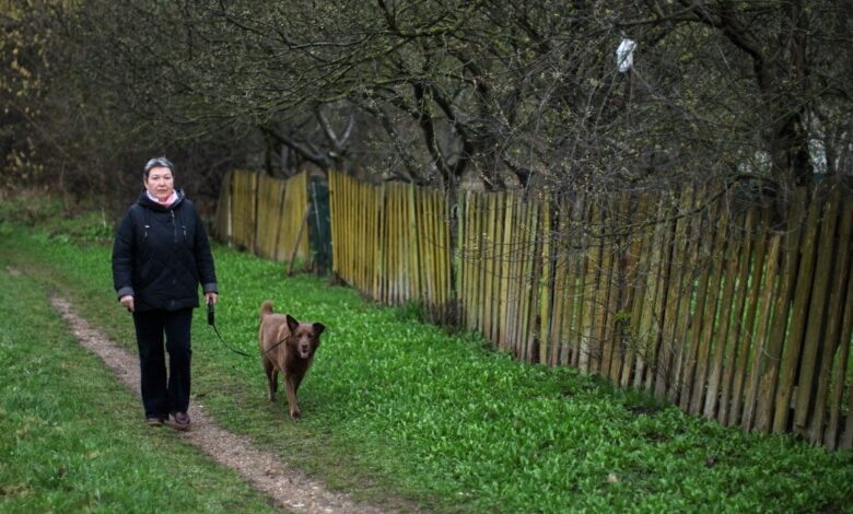 история белоруски