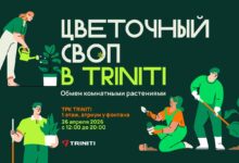 В ТРК TRINITI