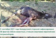 На границе с Литвой