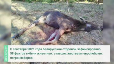 На границе с Литвой