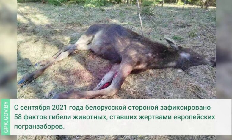 На границе с Литвой