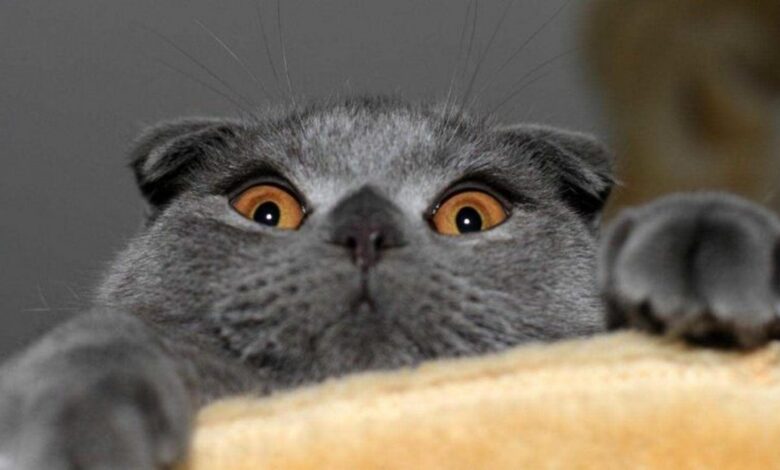 20 нереально