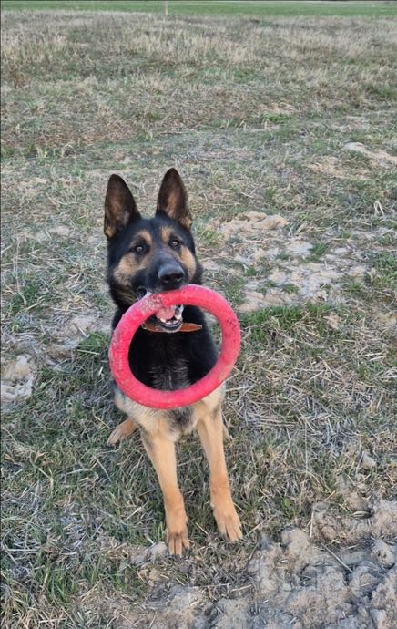 В Гродно бесплатно раздают вещи