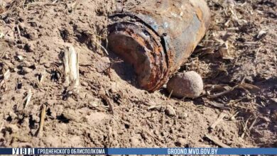 под Гродно при вспашке