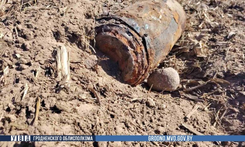 под Гродно при вспашке