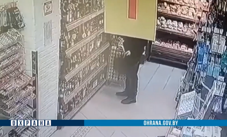 Видеокамеры и тревожная кнопка