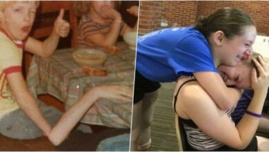 подборка снимков