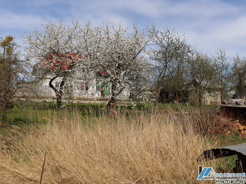 В Гродно на продажу выставили участок
