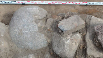 Под Волковыском