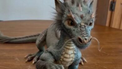 как ИИ-фейки