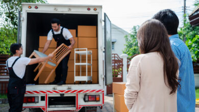 За пять лет в Беларусь