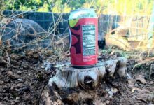 в Беларуси школьник