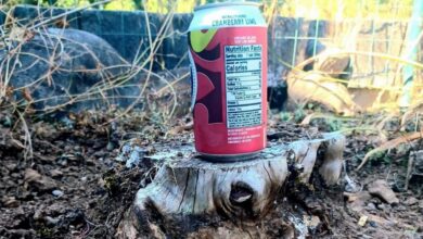 в Беларуси школьник