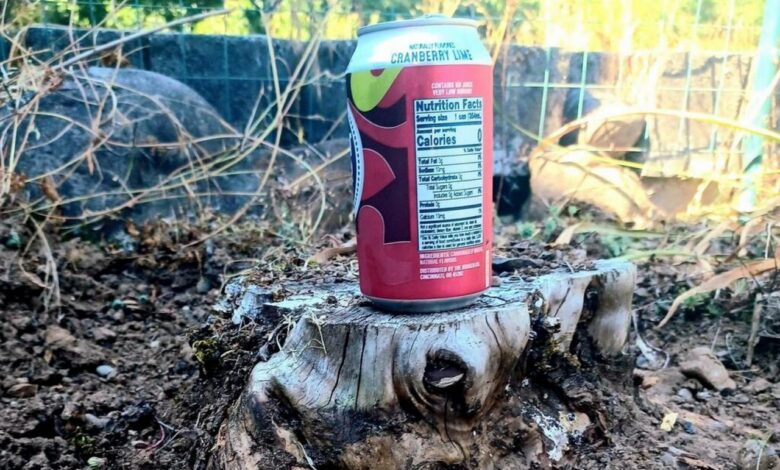 в Беларуси школьник