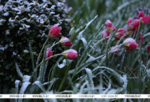 Невесёлый апрель