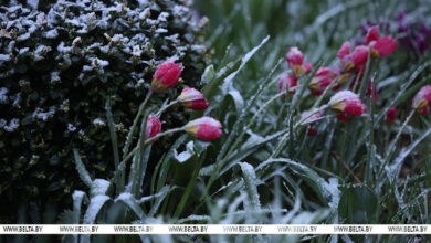 Невесёлый апрель