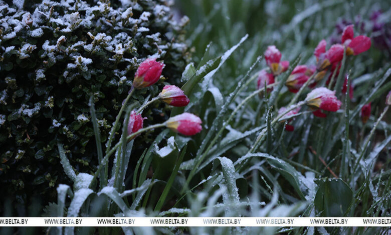 Невесёлый апрель