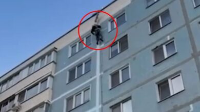 как в Бобруйске