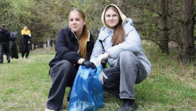 В лесном массиве