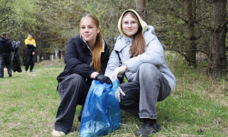 В лесном массиве