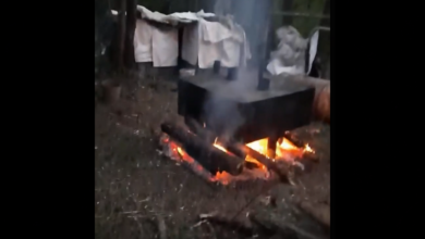 лесной самогонный завод