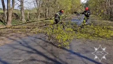 Ураган в Гродненской области