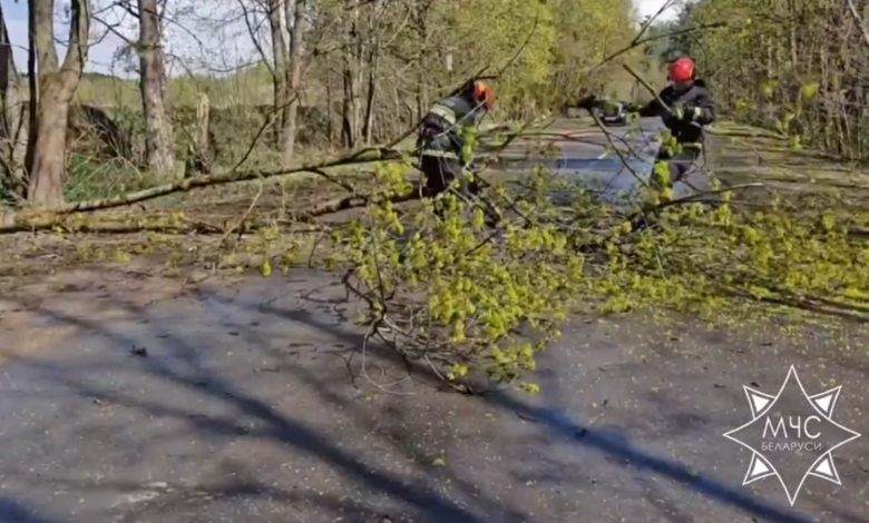Ураган в Гродненской области