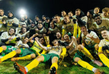 чемпион Беларуси по футболу