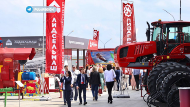 Гродненскую область