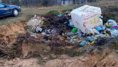 Под Гродно ликвидировали