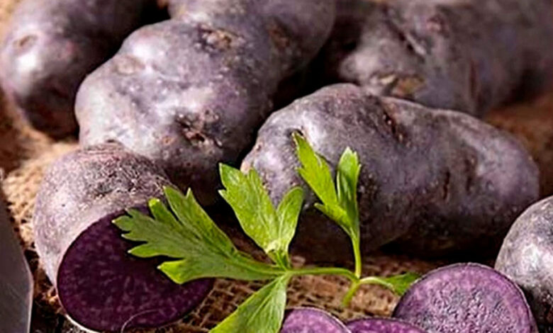 белорусские учёные