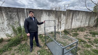 бездомных животных под Гродно