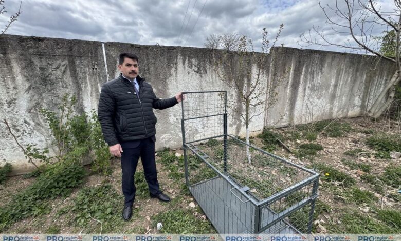 бездомных животных под Гродно