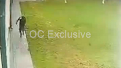 белорус кидал кирпич