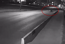 В Гродно водитель электротранспорта