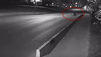 В Гродно водитель электротранспорта