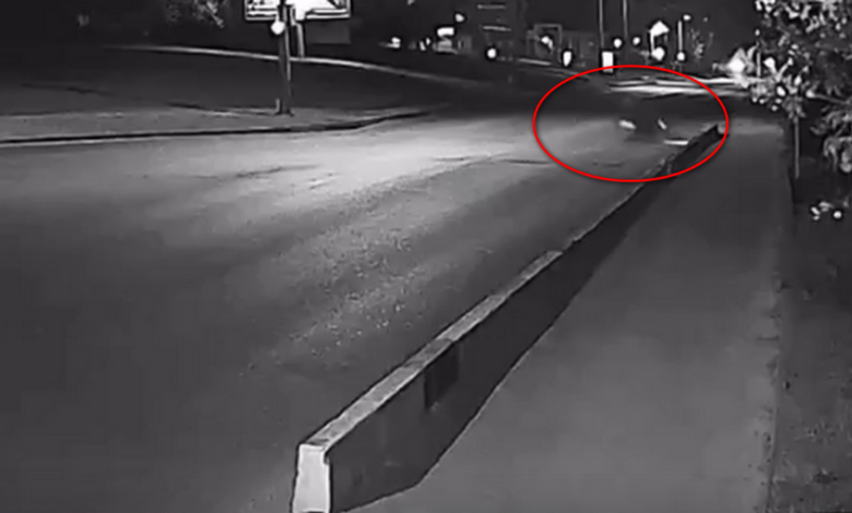 В Гродно водитель электротранспорта