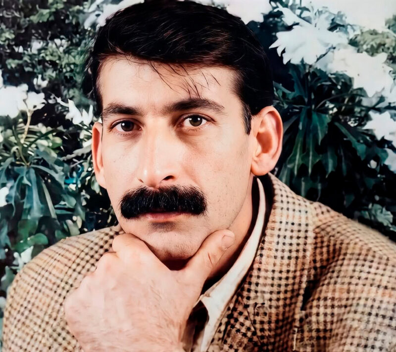Турецкий политик покорил