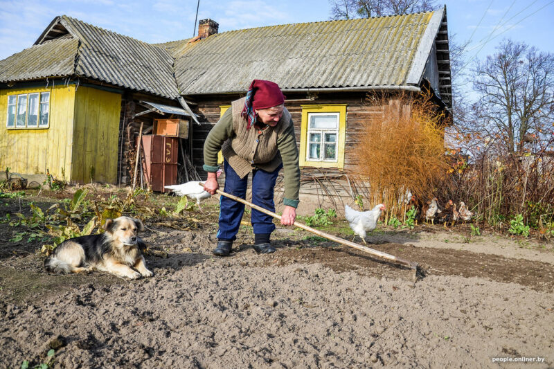 Перелом позвоночника