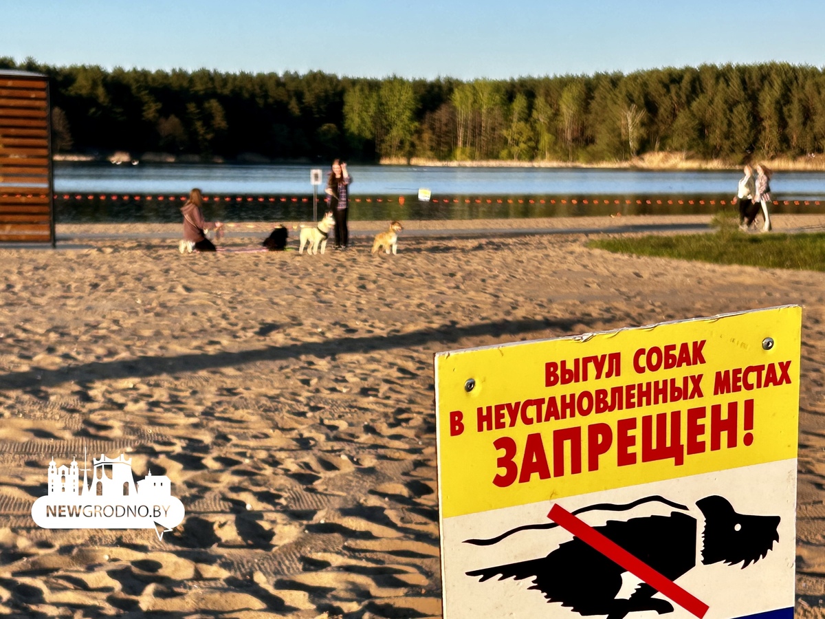 Гродненцы в майские выходные открыли