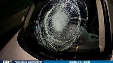 гродненский пятиклассник разбил машину